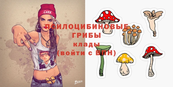 альфа пвп Коряжма