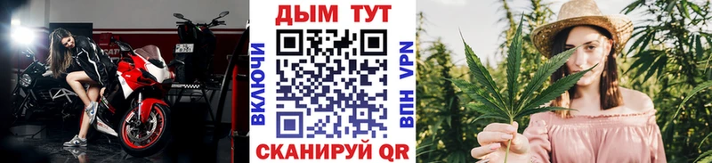 МЕГА ССЫЛКА  купить наркоту  Пошехонье  Каннабис VHQ 